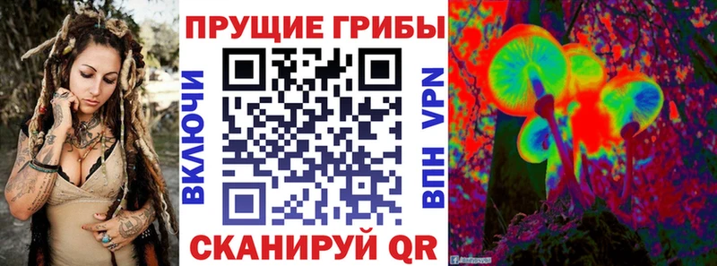 купить наркоту  Красноуфимск  Псилоцибиновые грибы Psilocybine cubensis 