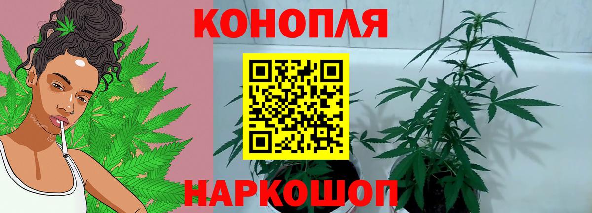 Бошки марихуана THC 21% Красноуфимск